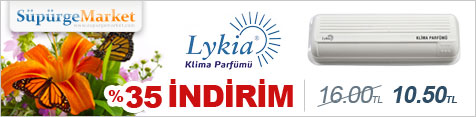 ayın ürünü
